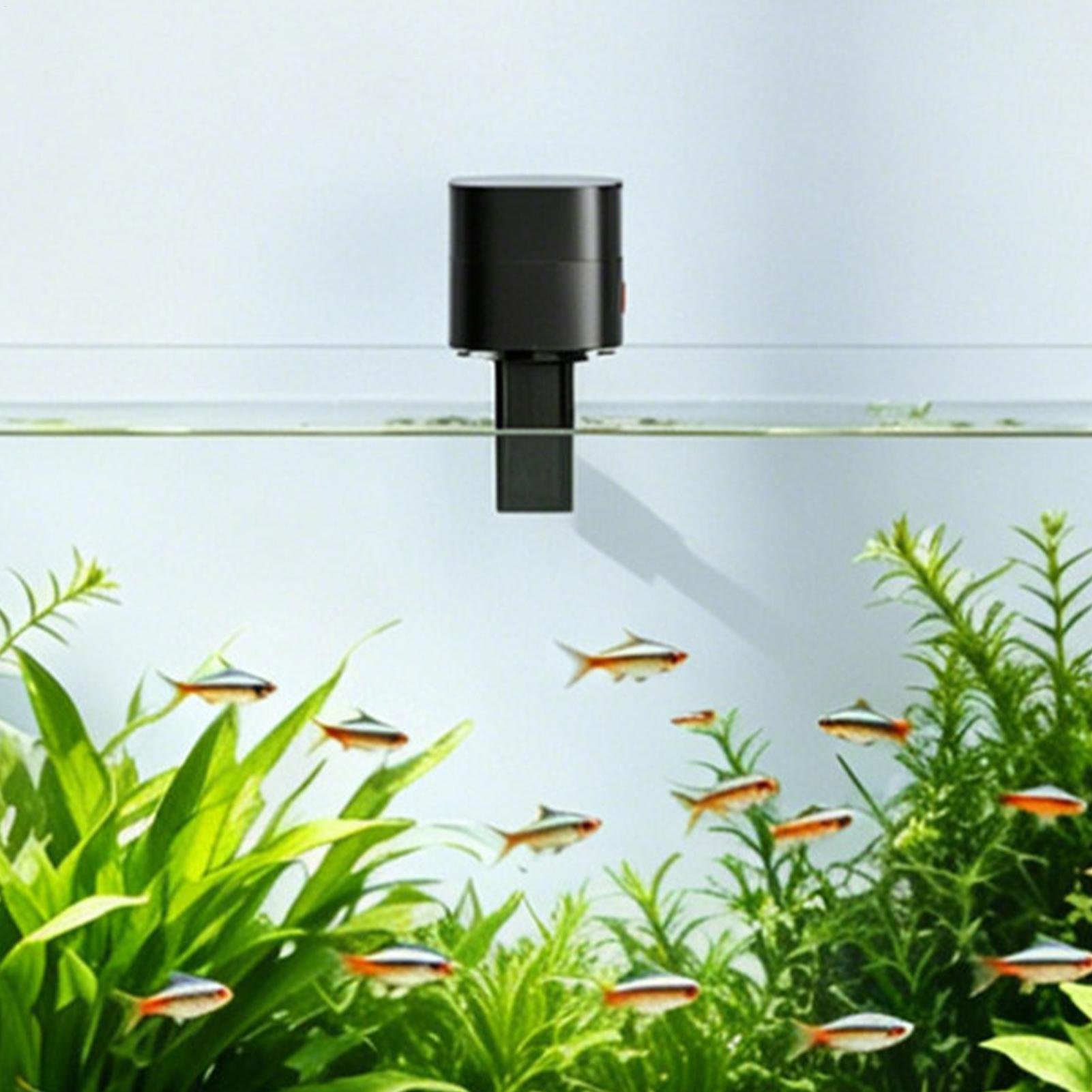 موزع طعام أسماك أوتوماتيكي قاب - مراجعة Fishing Line Dispenser وسعره